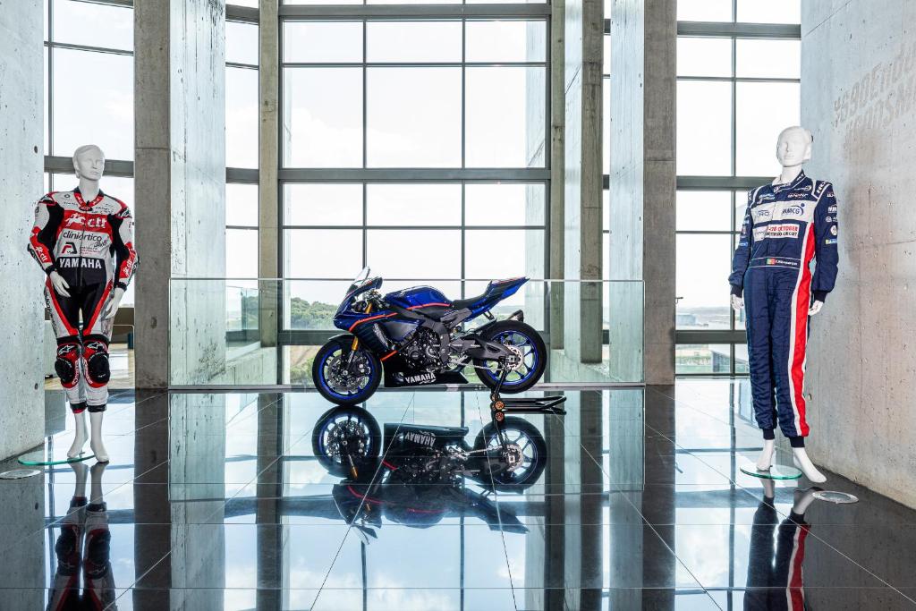 アクティビティ