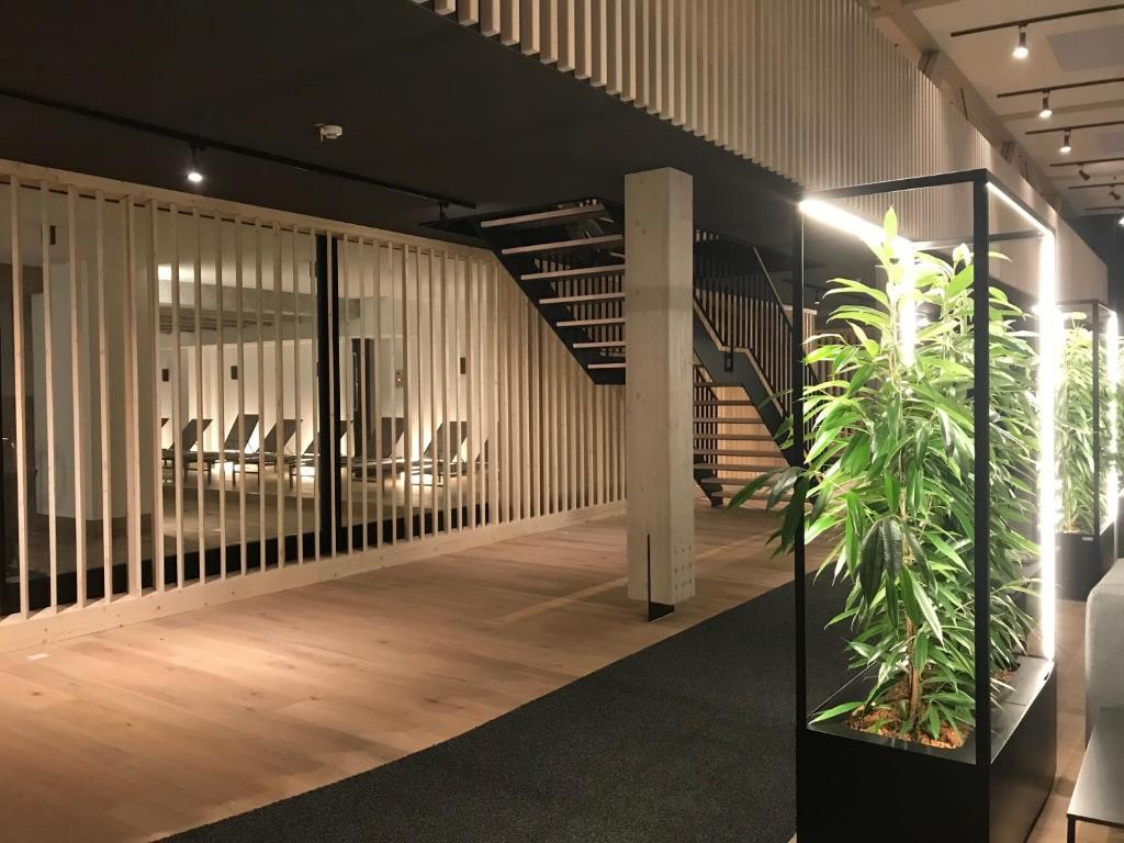 Shared lounge/TV area