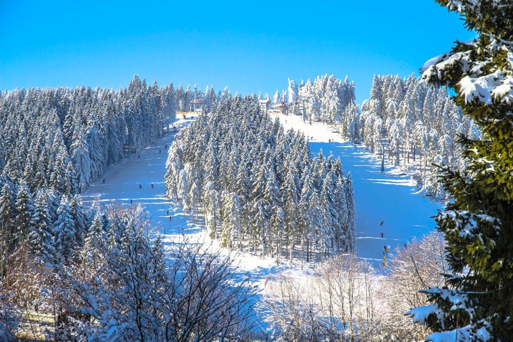 Sports and activities