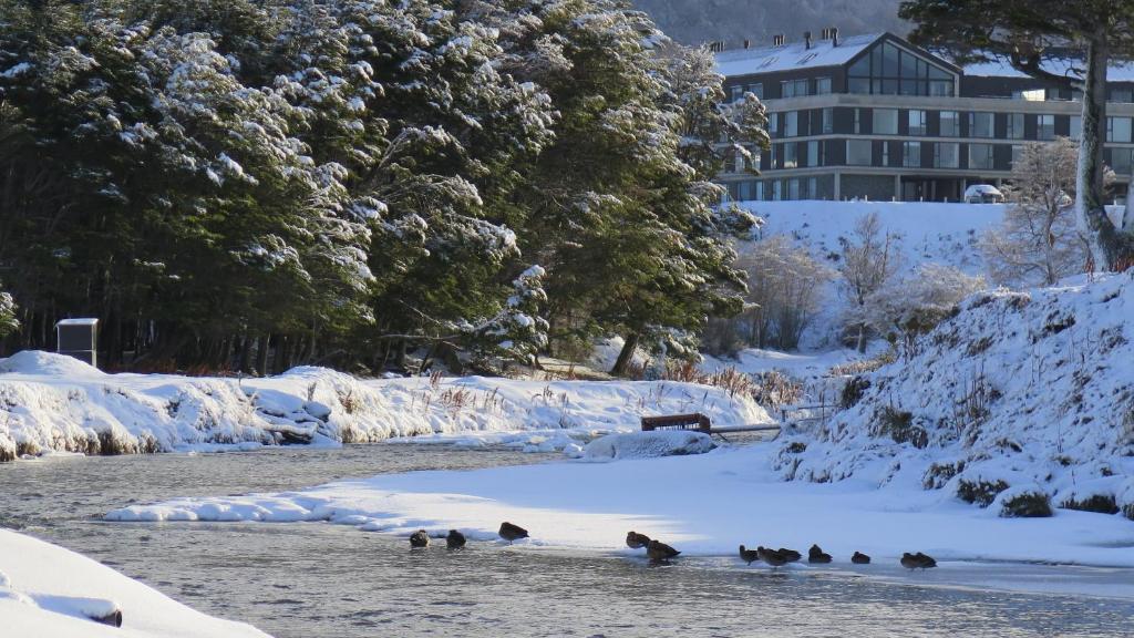 Departamento Terrazas Del Beagle - 4