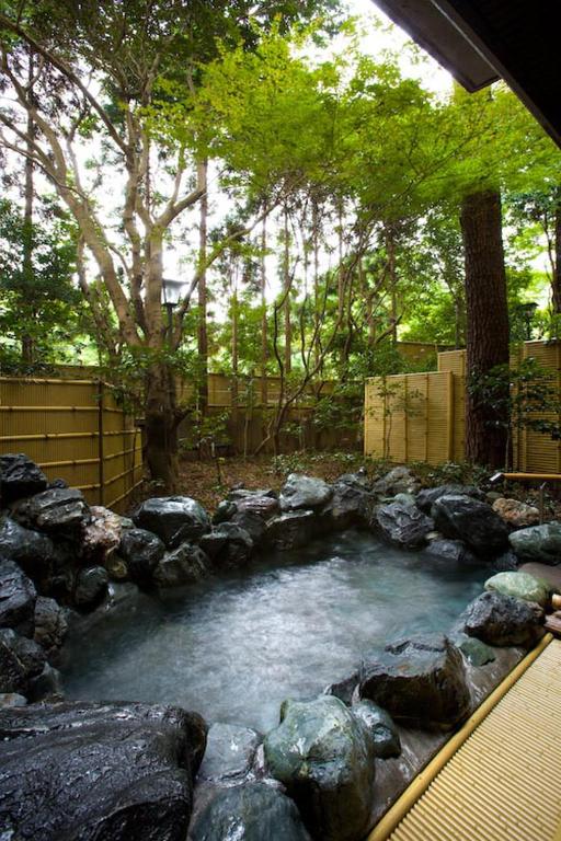 Hot spring bath