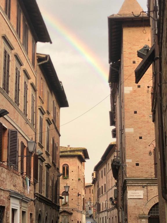 Salicotto 56 - 5