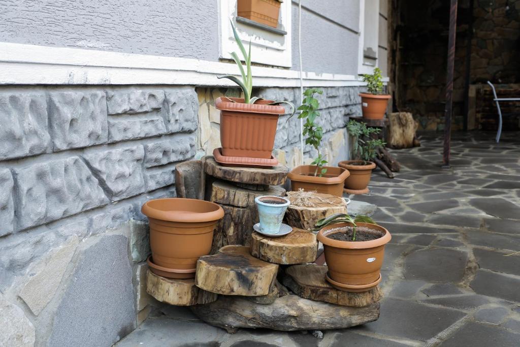 SunnyAvlabari Homestay photo