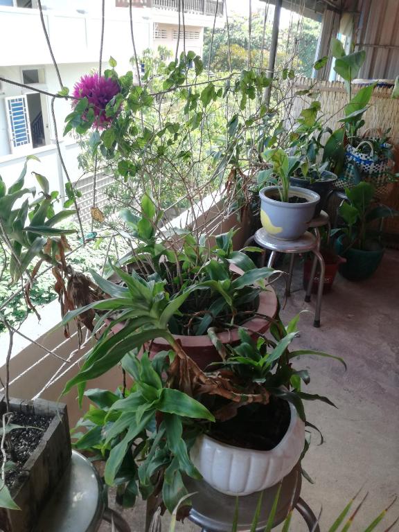 Stay in Kampot photo