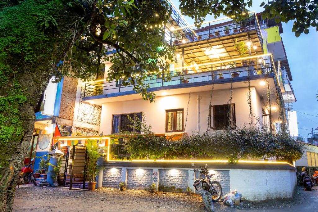 Big Tree Hostel photo