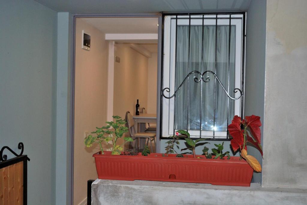 nikas apartment, Tbilisi