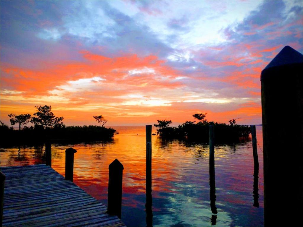 Conch Key Fishing Lodge & Marina photo