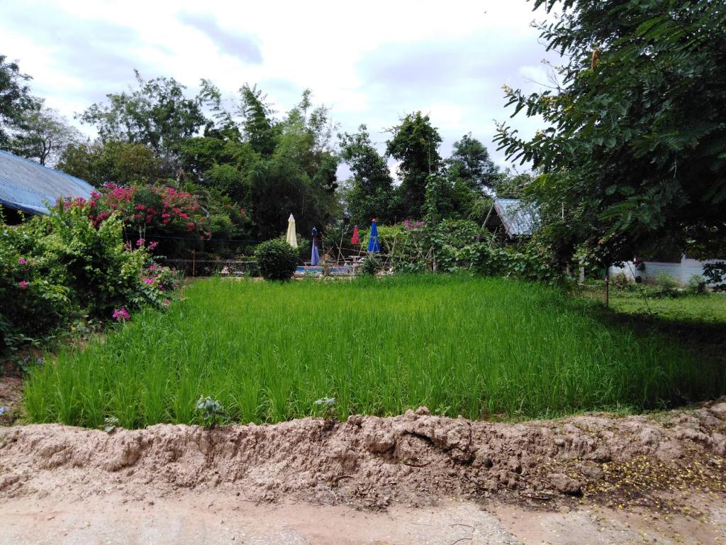 Surrounding environment