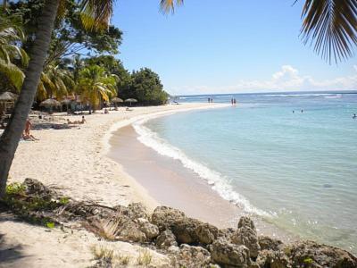 APT LES OISEAUX DU PARADIS 30m DE LA PLAGE VUE MER, Saint-François