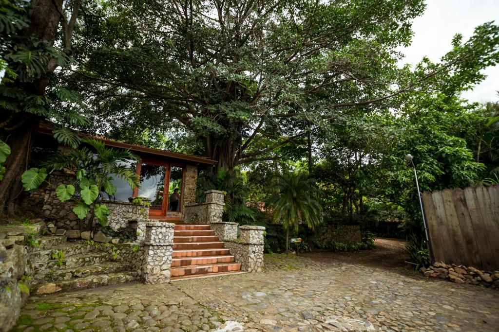 Exterior view