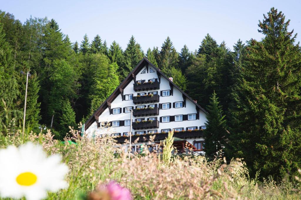 Hotel Tisa Pohorje — Hotel in Hocko Pohorje