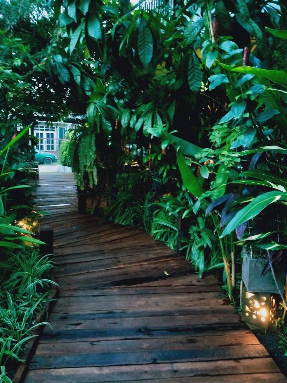 Surrounding environment