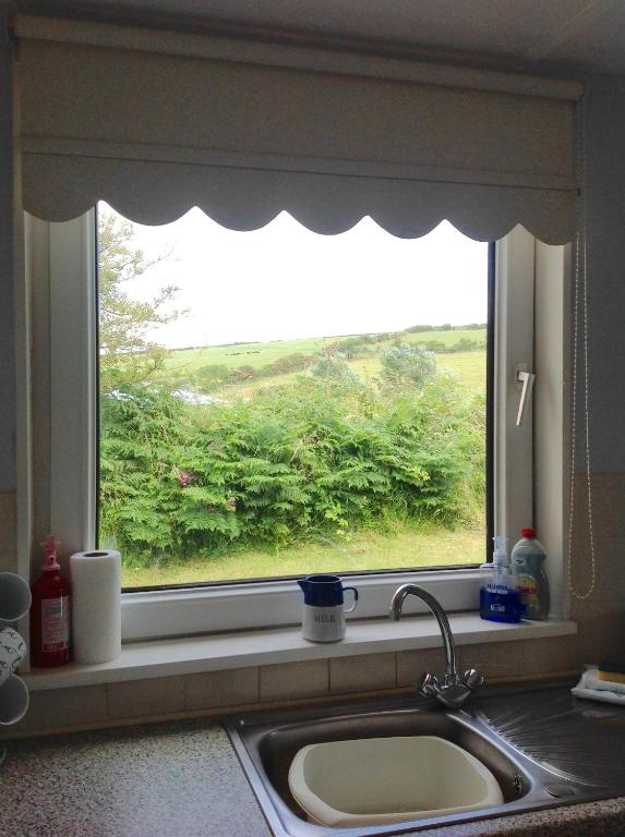Pant Glas photo 6