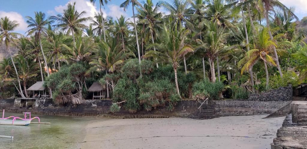 IDA'S Homestay photo