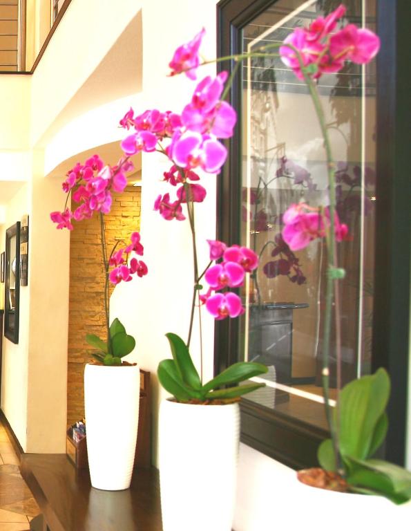 Premier Hotel Pretoria Photo 4