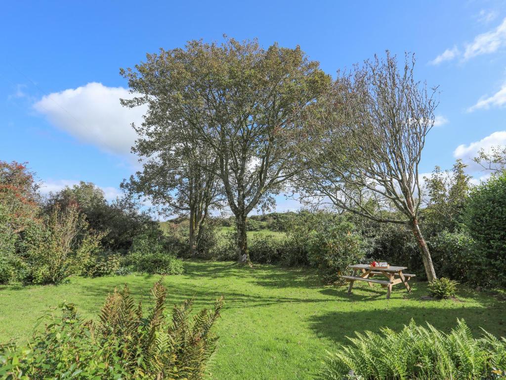 Ffrwd Cottage, Bodorgan photo 5