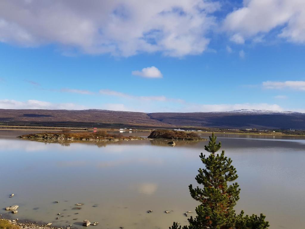 Surrounding environment