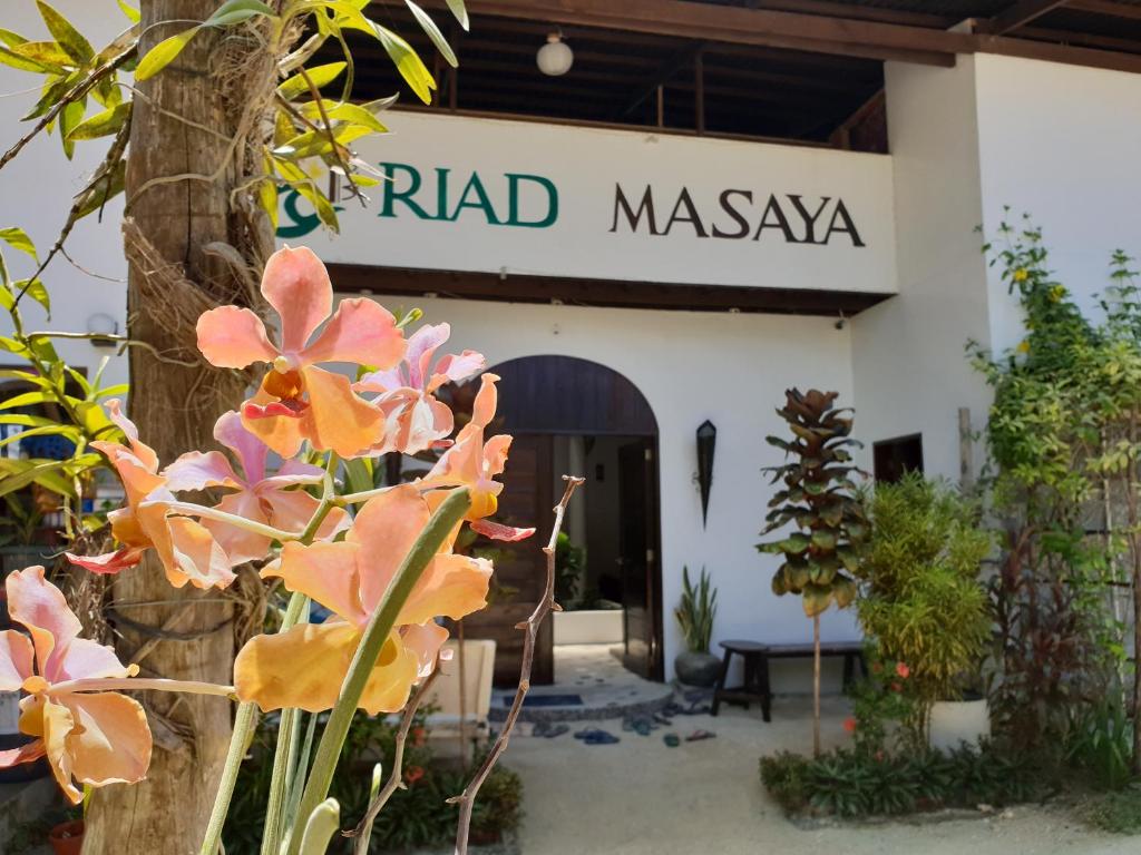 Riad Masaya, General Luna
