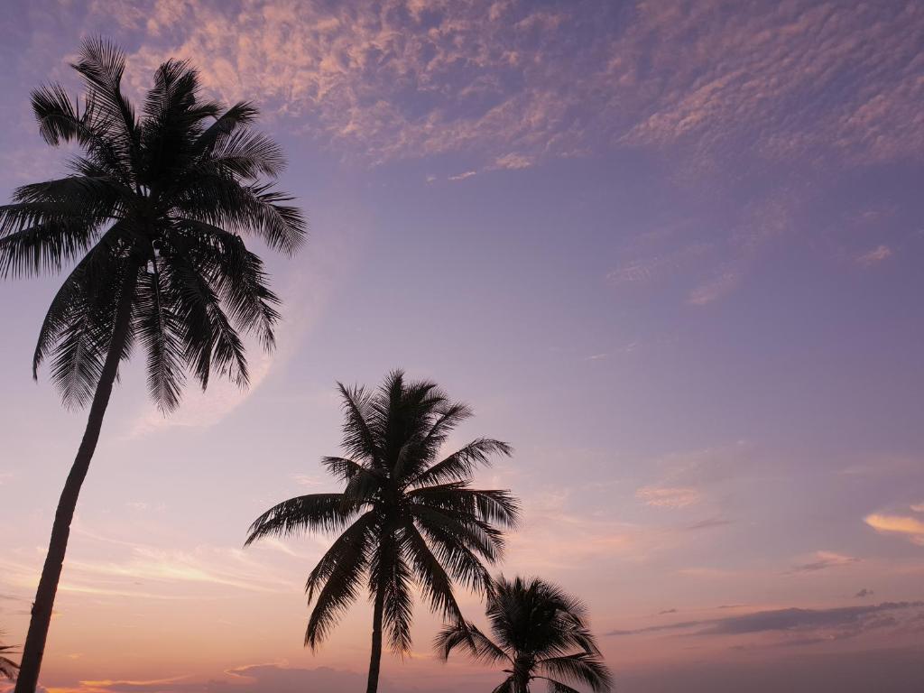 Surrounding environment