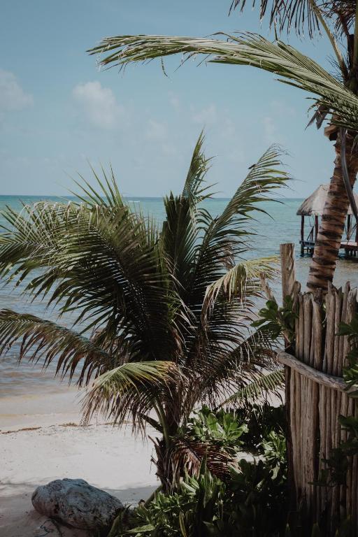 Cielo Maya Beach Tulum photo