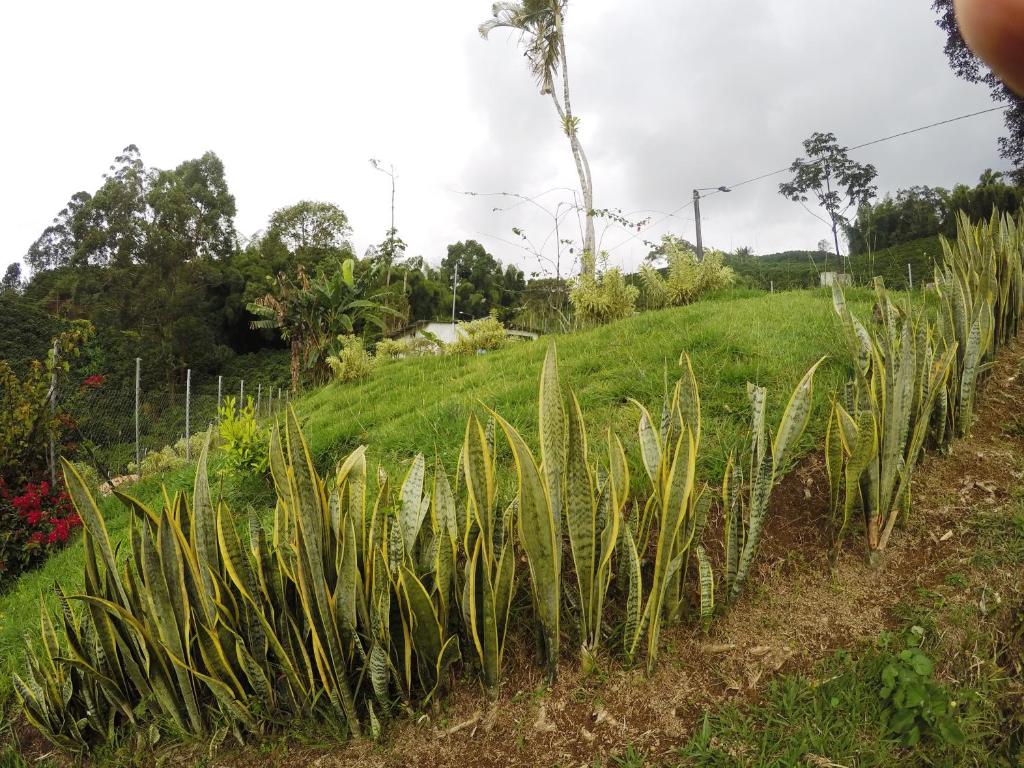 Sports and activities