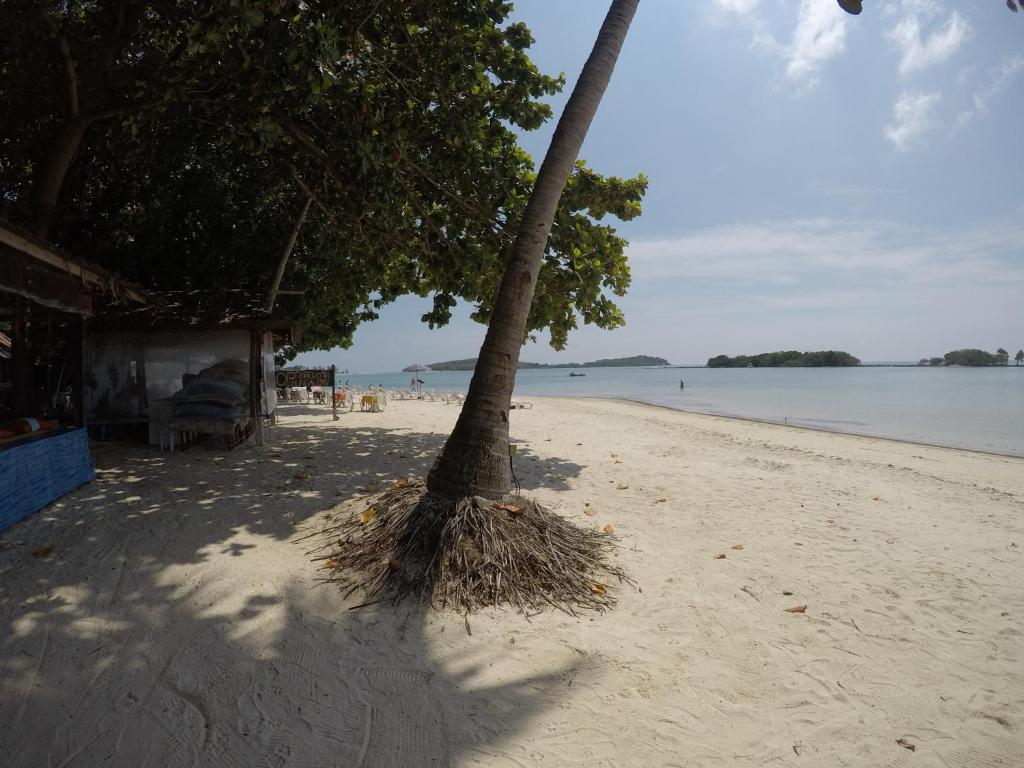 O.P. Bungalow photo
