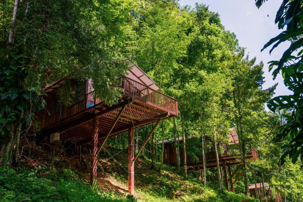 BERGENDAL AMAZONIA WELLNESS RESORT
