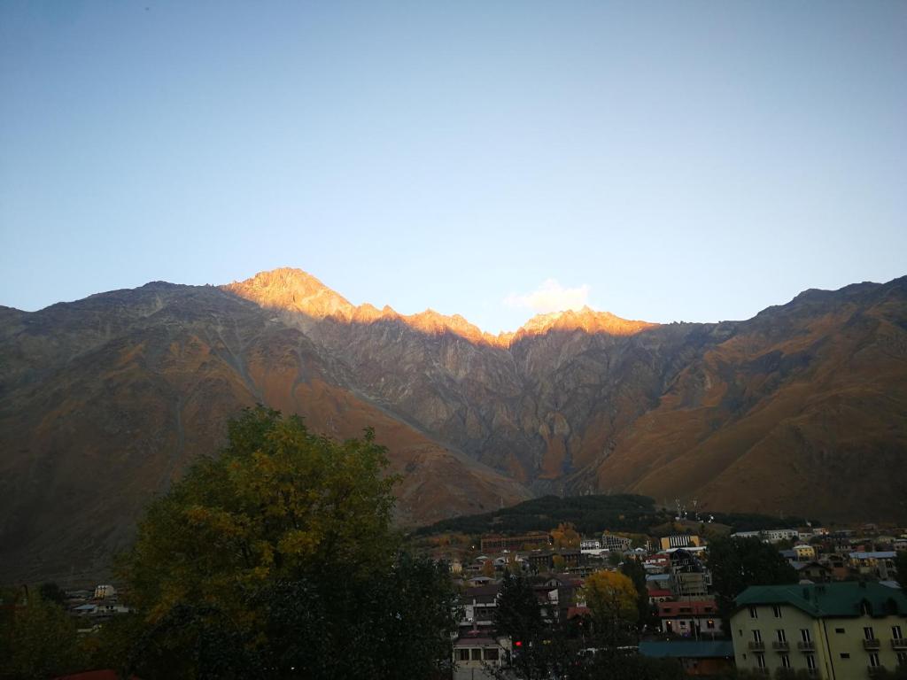 Guesthouse suja photo