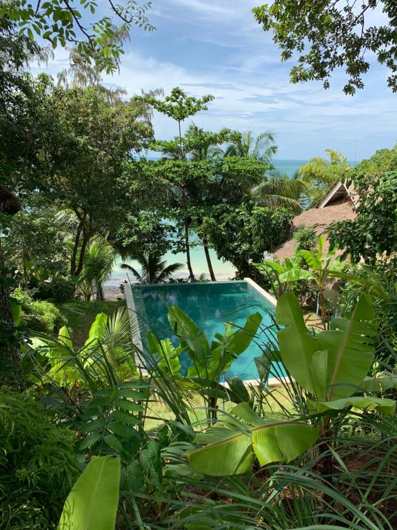 Coconut Beach Bungalows photo