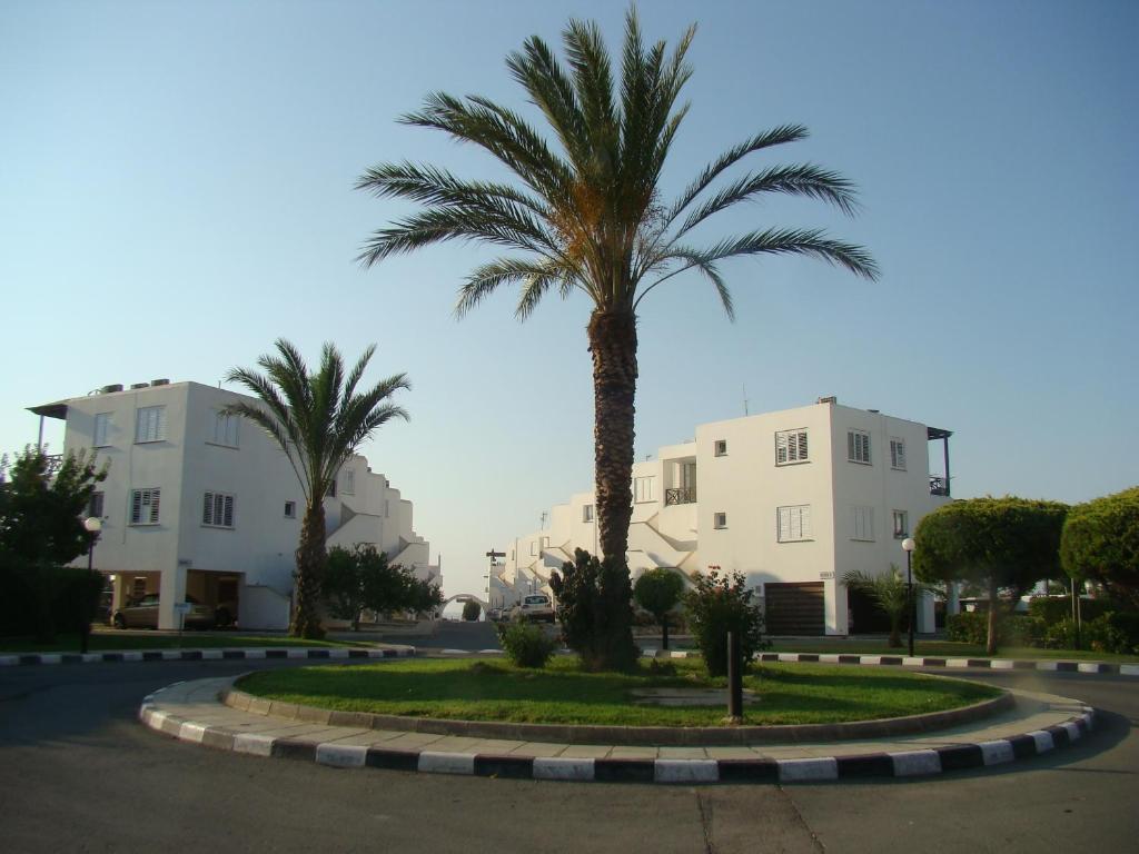 Ảnh 5