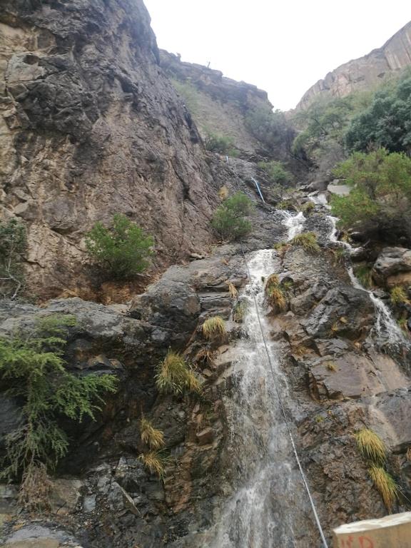 Surrounding environment