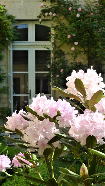 Les chambres de l'Abbaye - 3