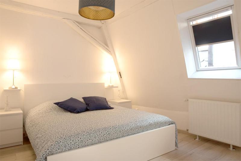 Petite Venise Grand Duplex Turenne Hyper Centre - 5