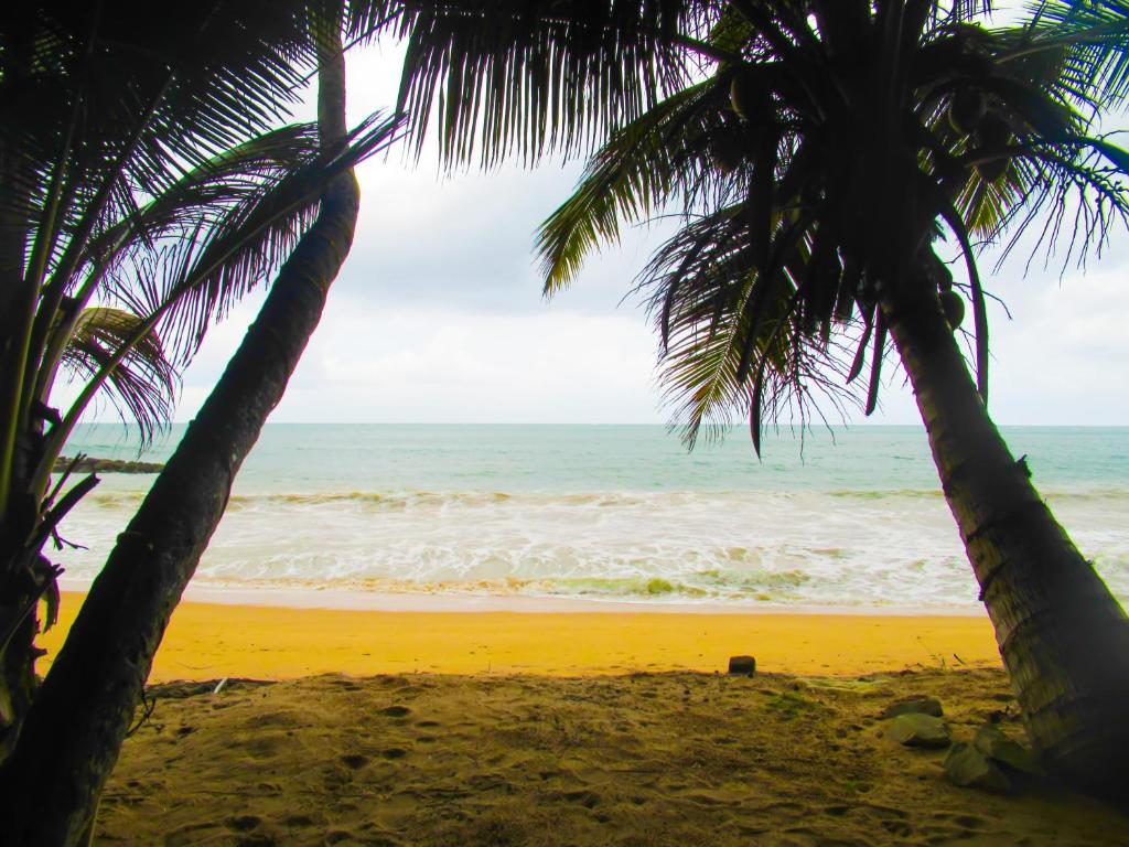 Shanika Beach Inn photo