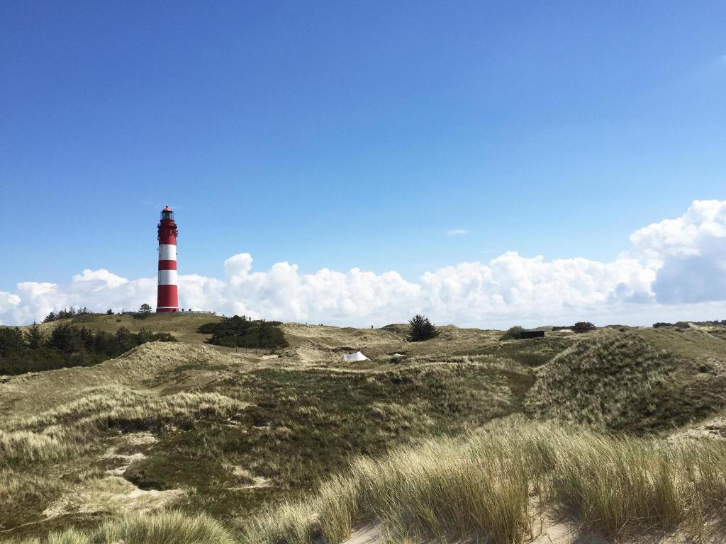 Friesenhaus Amrum Friesenhaushalfte *Hommelkasche* photo