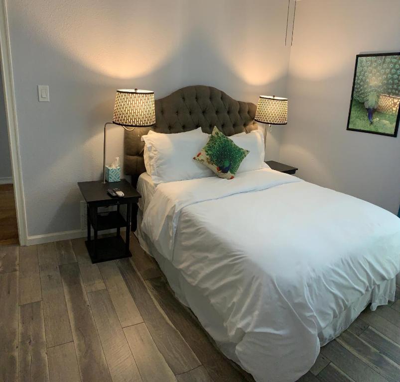 The Peahen House, San Antonio