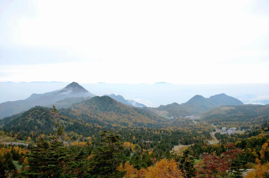 Surrounding environment