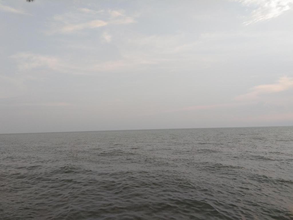 Surrounding environment