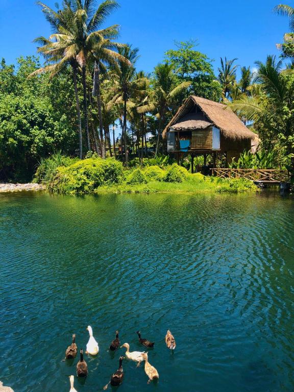 Jasri Dalem Surf Retreat photo