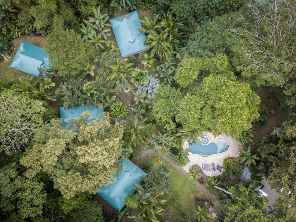 El Nido Jungle Lodge — Hotel in Puerto Viejo de Talamanca