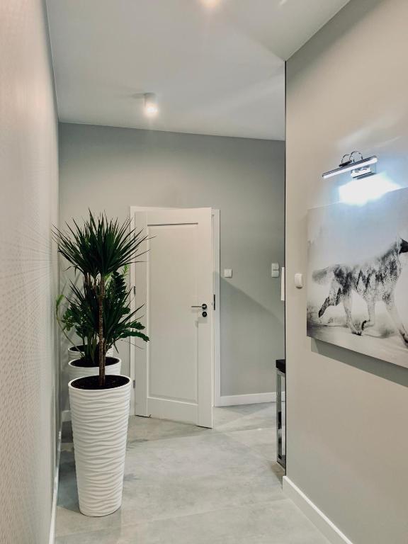ZLOTA Luxury Apartments photo