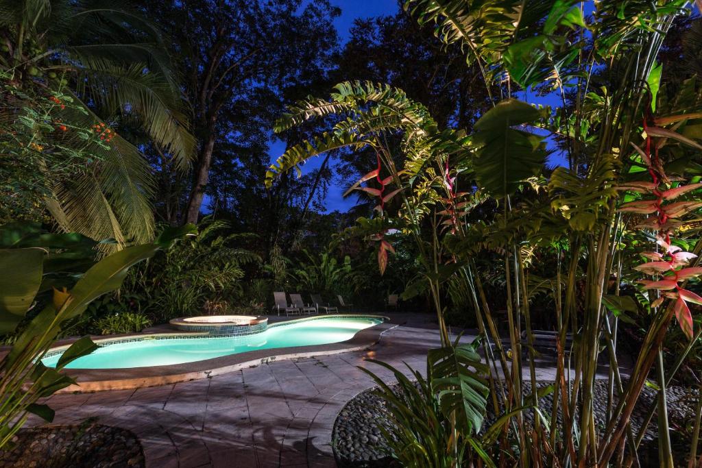 El Nido Jungle Lodge photo