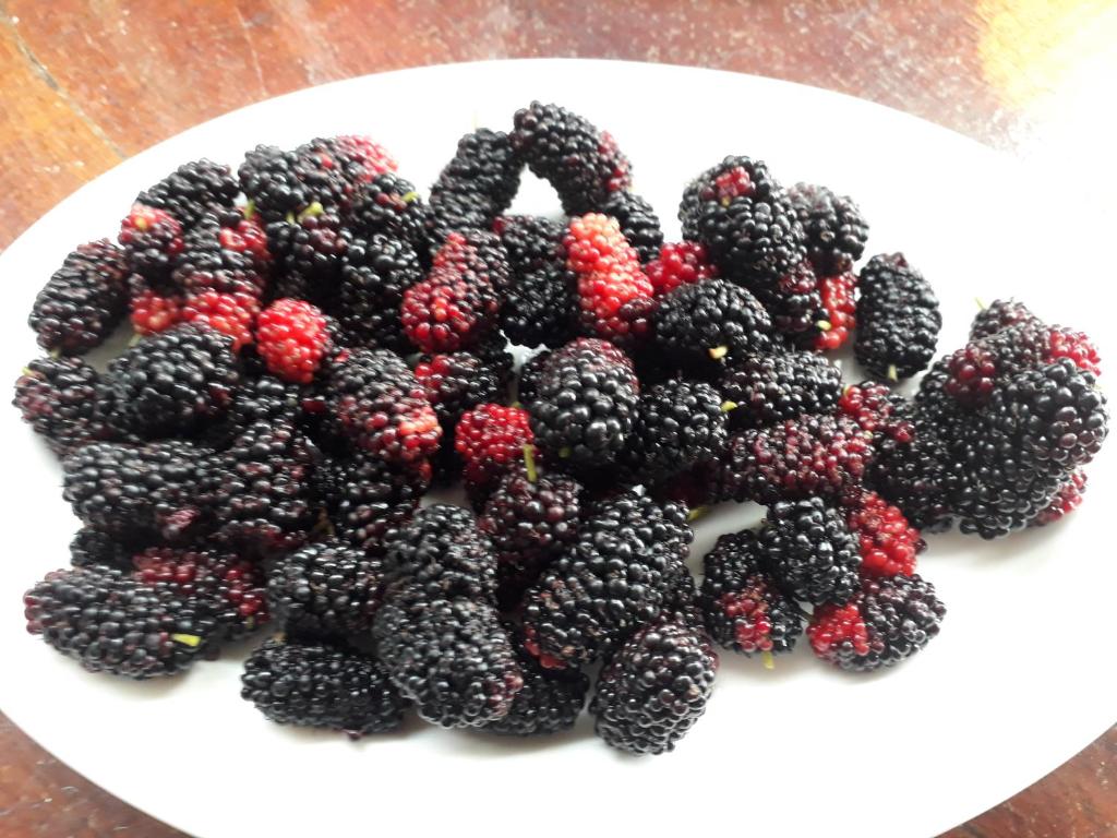 お料理のイメージ