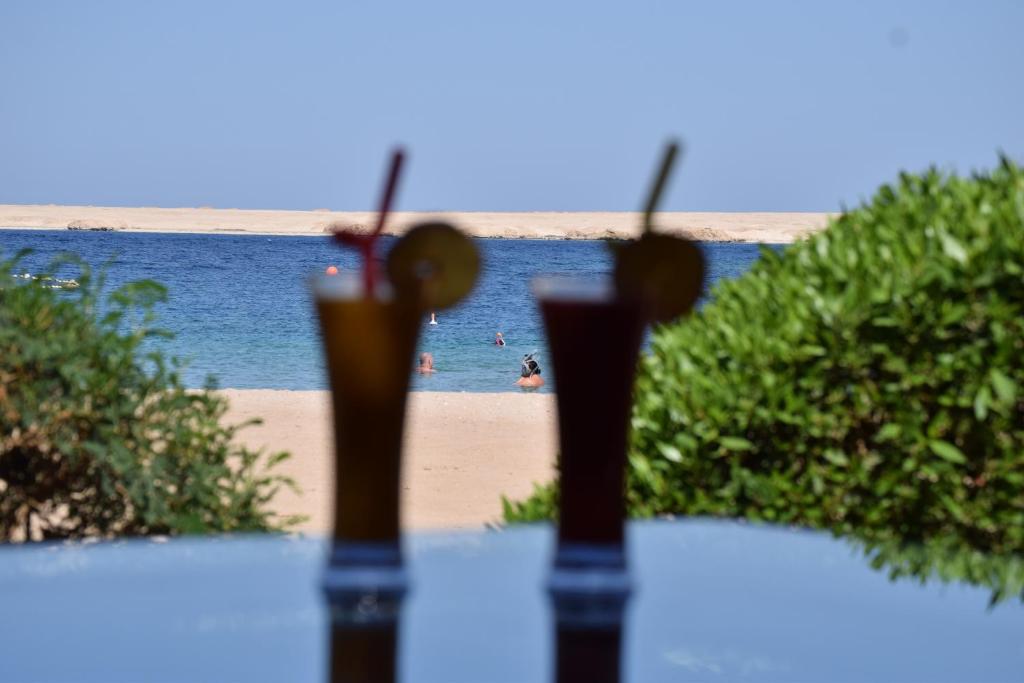Sharm El Naga Resort and Diving Center photo