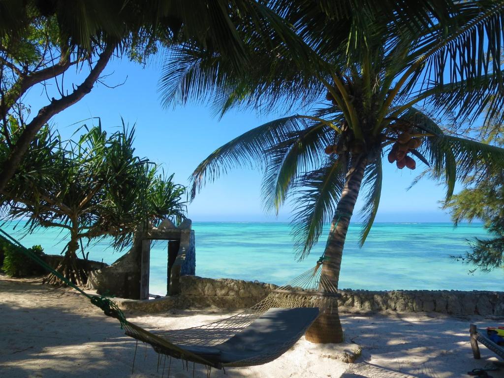 Queen of Sheba Beach Lodge photo
