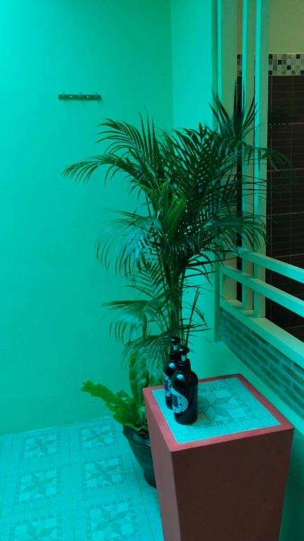 バスルーム（客室）