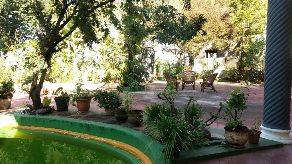 Kadalamma Beach Homestay photo