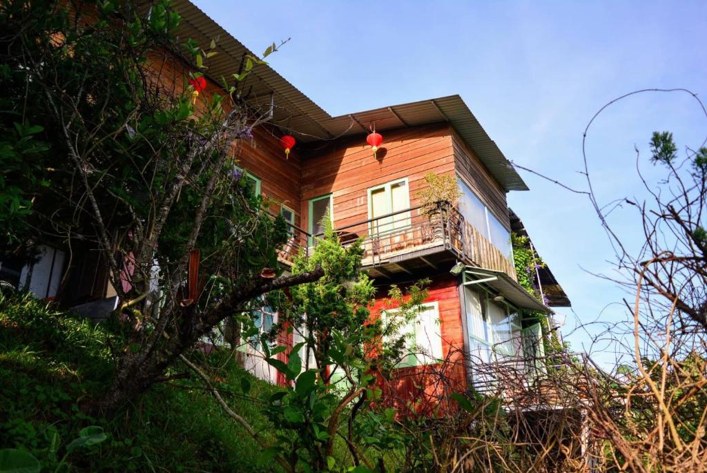 Đèn lồng homestay & coffee