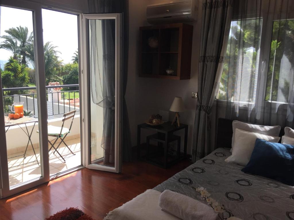 Ảnh 2