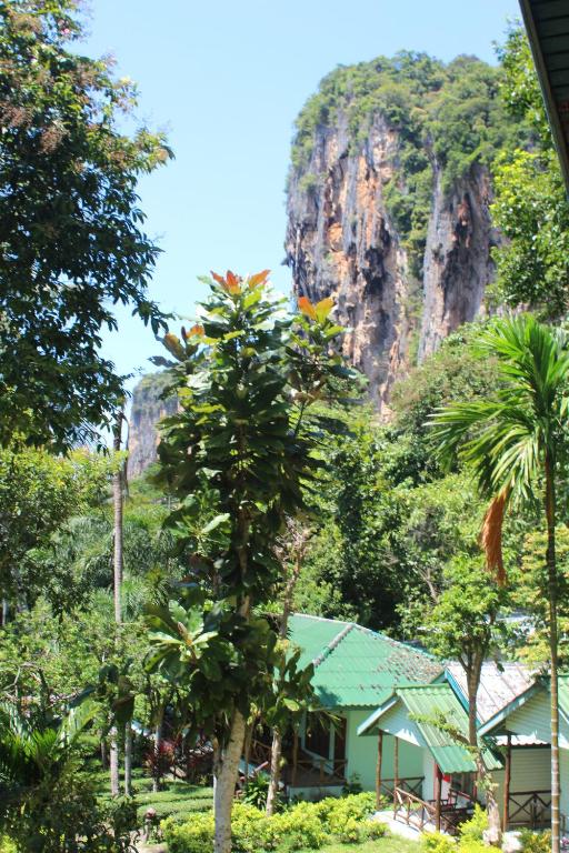 Surrounding environment